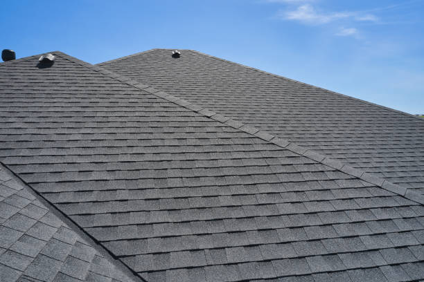 Best Roof Coating and Sealing  in Camp Springs, MD